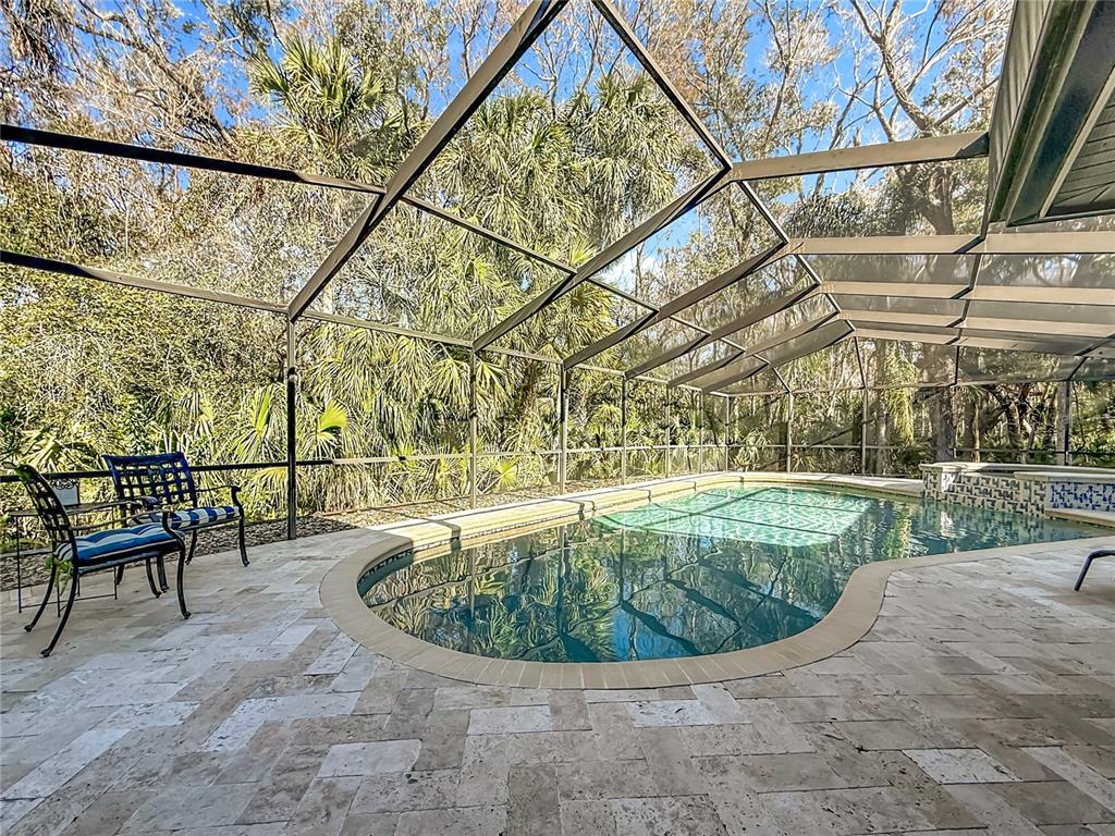 50 WILLOWOOD LANE, OLDSMAR, FL — photo 5 of 30