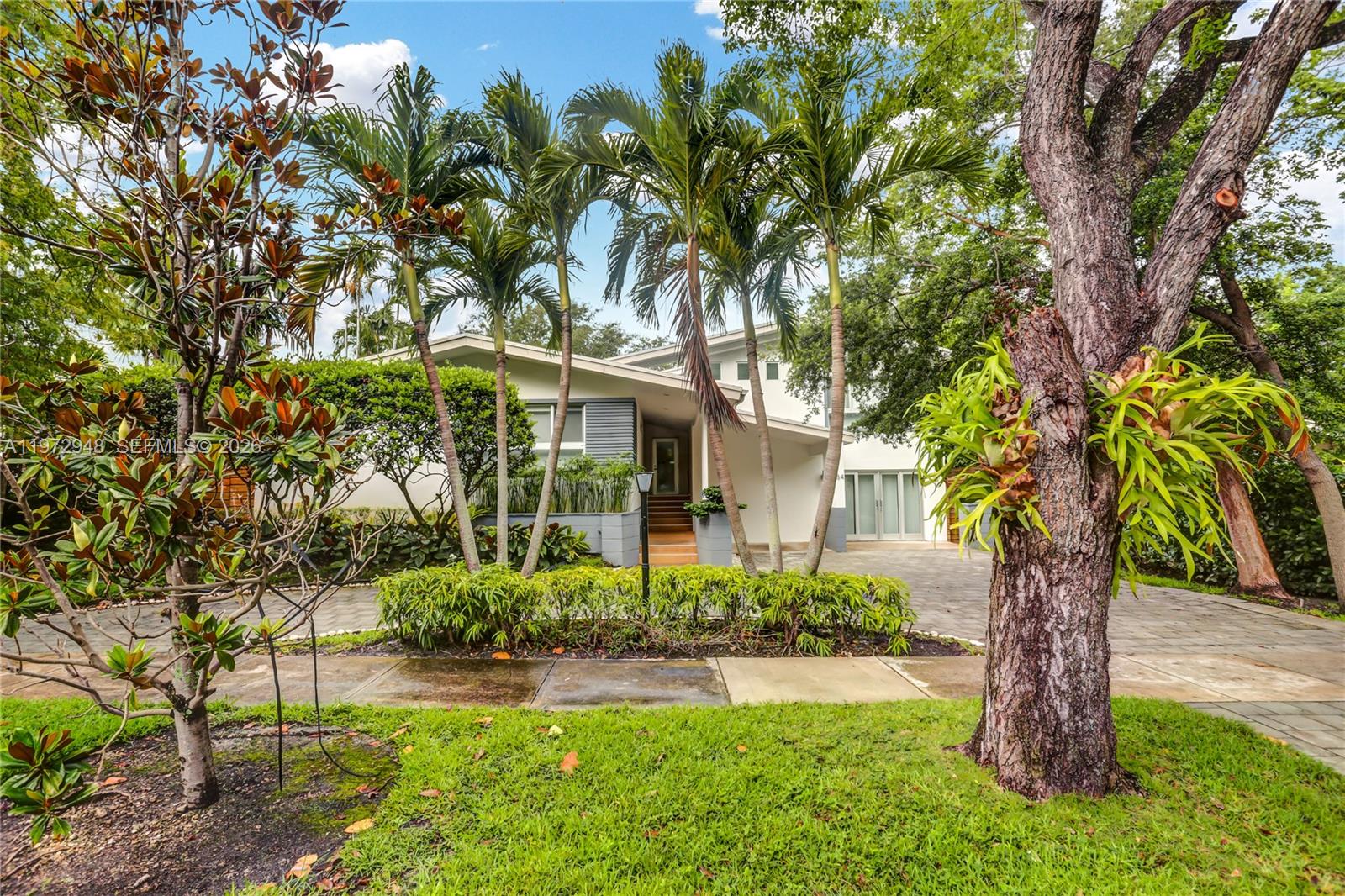 A modern house with a paved driveway, palm trees, and a large tree with ferns — 84 Bay Heights Dr, Miami FL 33133, MIAMI, FL