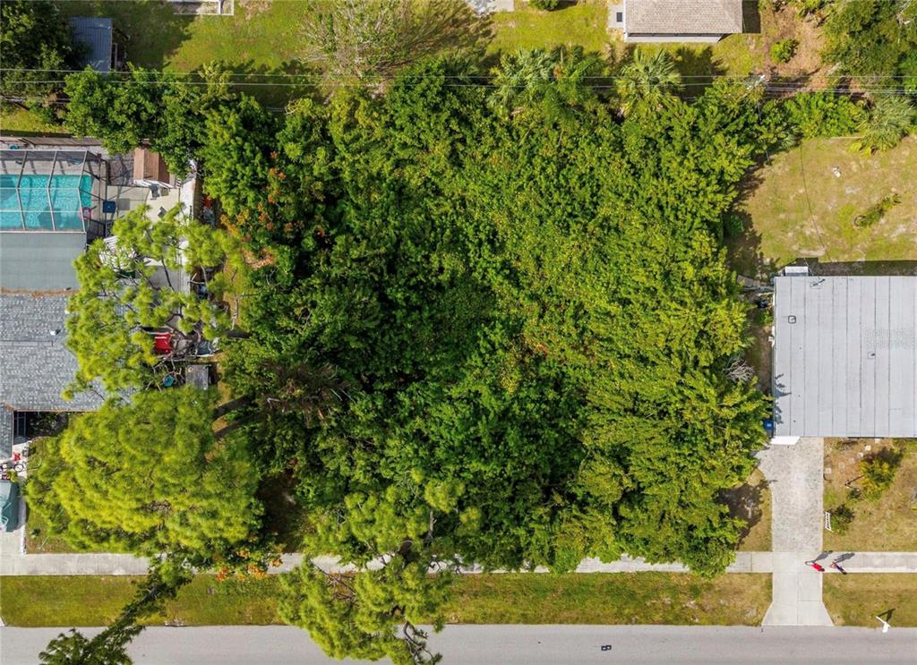 An aerial view shows a vacant, heavily wooded residential lot situated between two existing houses — 31 W SEMINOLE DRIVE, VENICE, FL