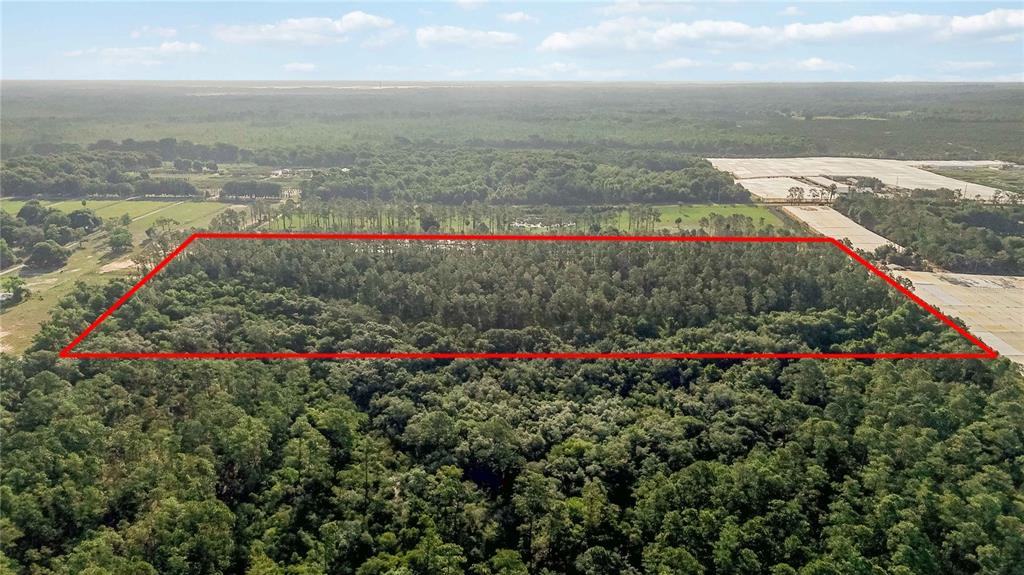 An aerial view shows a rectangular plot of land outlined in red amidst dense forest — 23175 N BUCKHILL ROAD, HOWEY IN THE HILLS, FL