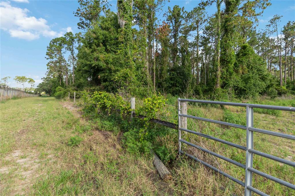 A metal gate stands at the edge of a grassy field bordered by dense trees — 23175 N BUCKHILL ROAD, HOWEY IN THE HILLS, FL