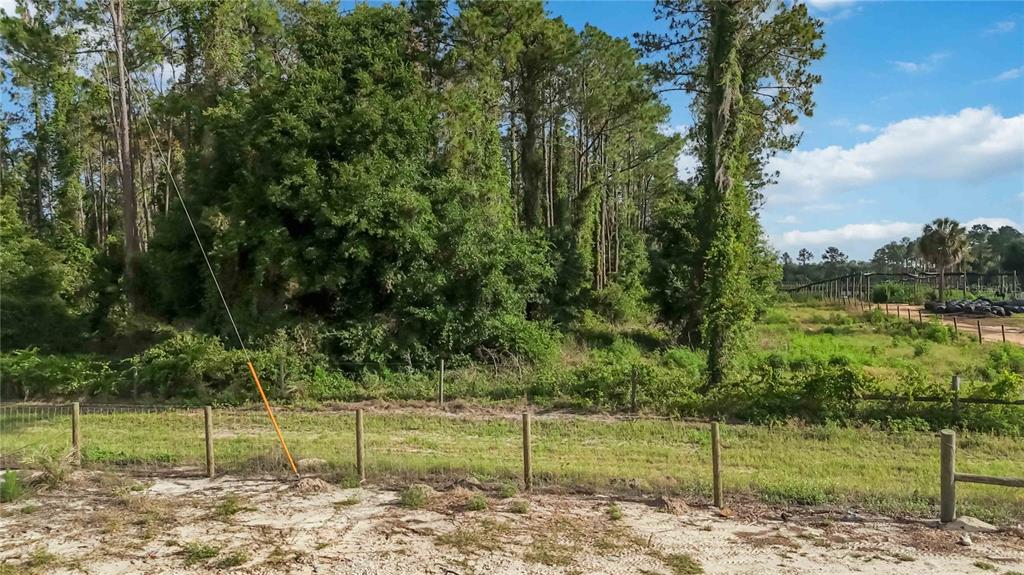 A wire fence separates a sandy foreground from a dense wooded area and open field — 23175 N BUCKHILL ROAD, HOWEY IN THE HILLS, FL