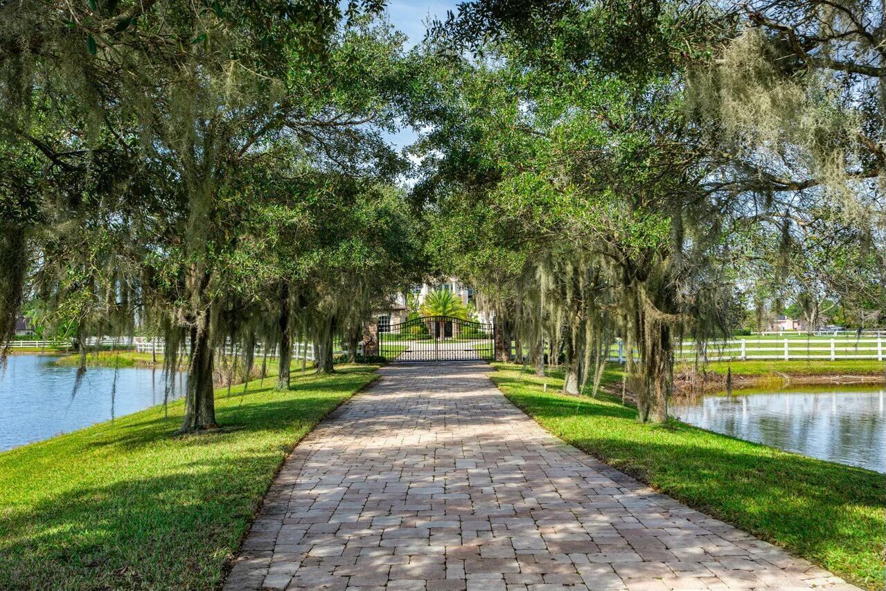 A paved driveway leads through a tree-lined path toward a gated entrance between two ponds — 10527 El Paraiso Place, Delray Beach FL 33446, DELRAY BEACH, FL
