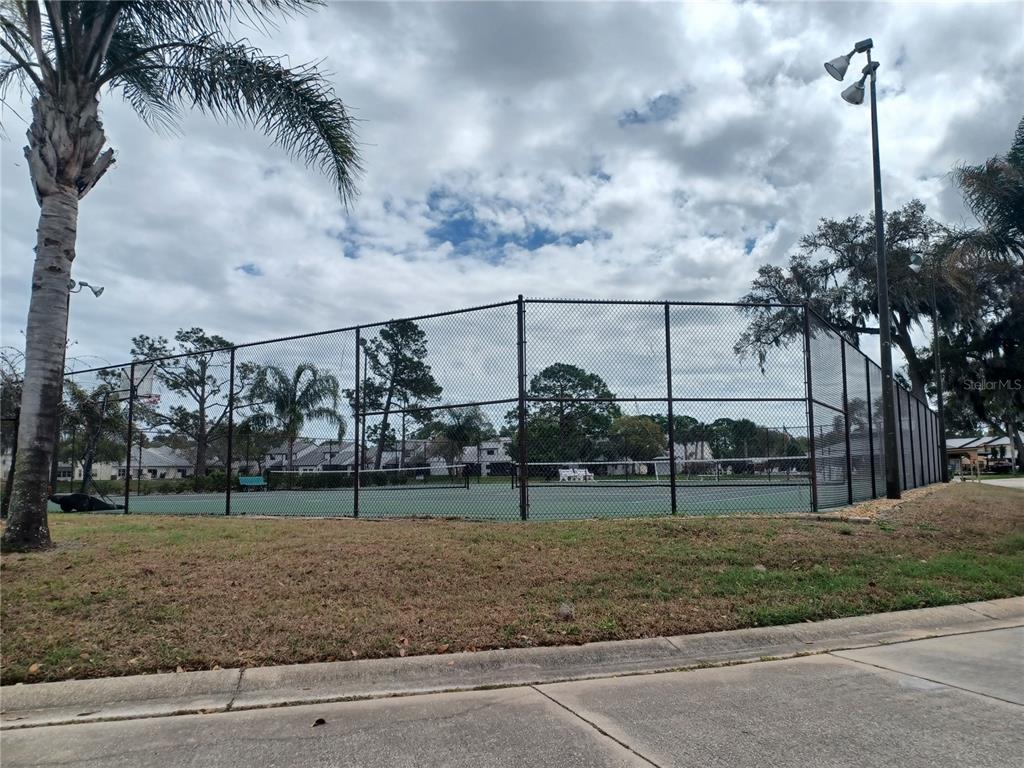 A fenced-in outdoor tennis court sits next to a palm tree under a cloudy sky — 2250 CANDLEWOOD LANE E, NEW SMYRNA BEACH, FL