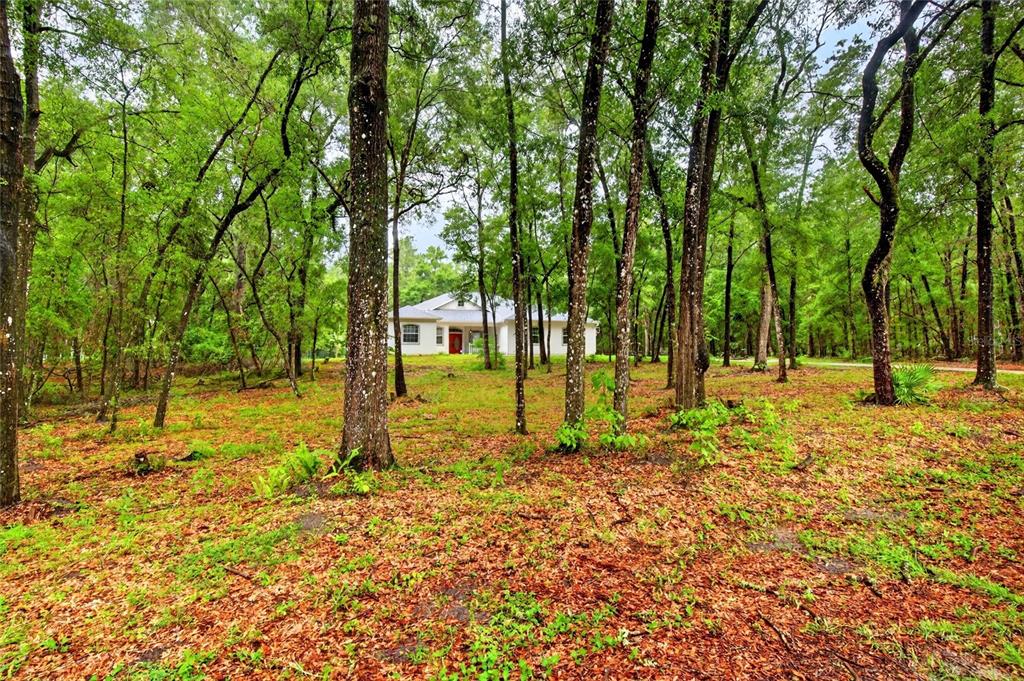 A white house with a red front door sits nestled among many tall, leafy trees — 7550 SW 185TH CIRCLE, DUNNELLON, FL