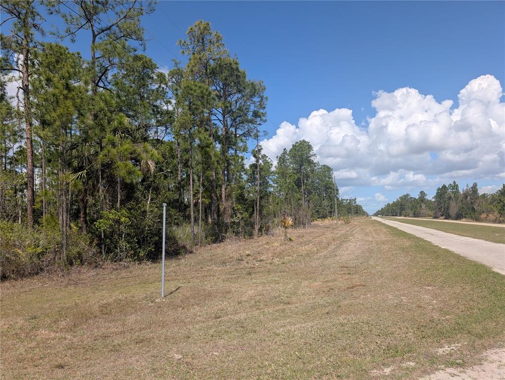 A grassy roadside area borders a dense forest of pine trees under a blue sky — 802 ALTHEA DRIVE, INDIAN LAKE ESTATES, FL