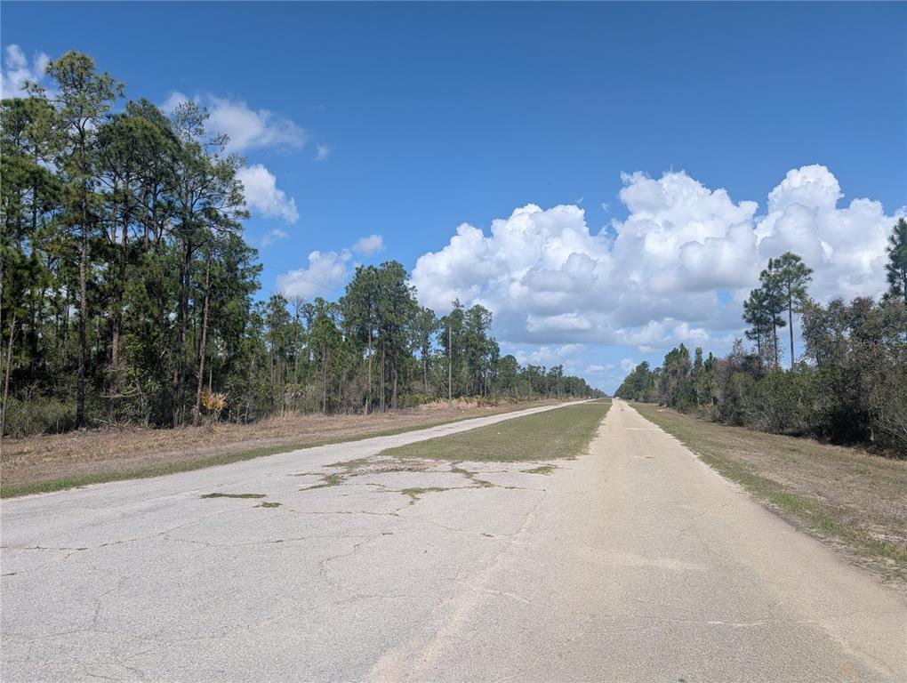 A paved road stretches through a rural landscape with pine trees under a blue sky — 802 ALTHEA DRIVE, INDIAN LAKE ESTATES, FL