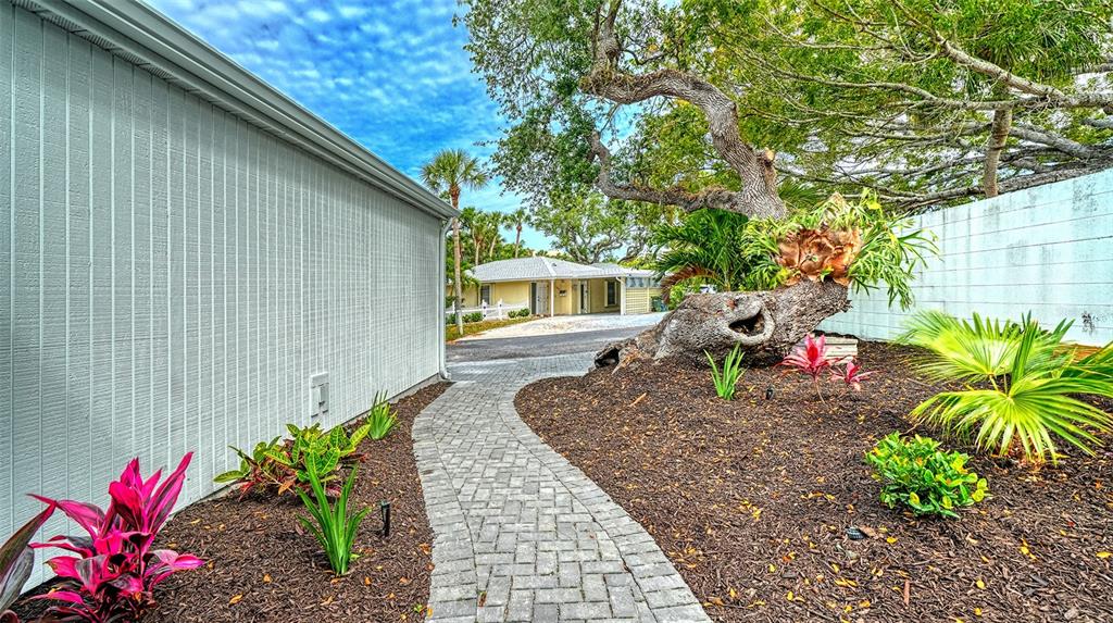 A stone walkway leads past a large tree toward a yellow house with palm trees — 1224 MOONMIST CIRCLE UNIT S-3, SARASOTA, FL