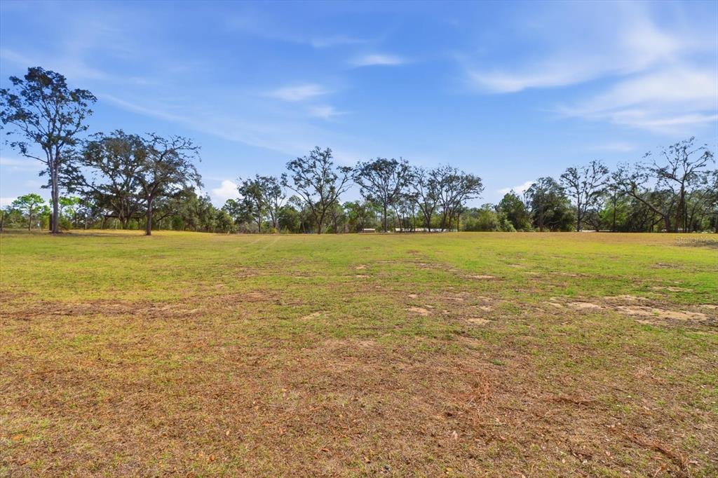 A wide, grassy field is surrounded by a line of mature trees under a blue sky — 2720 E FAWN COURT, INVERNESS, FL