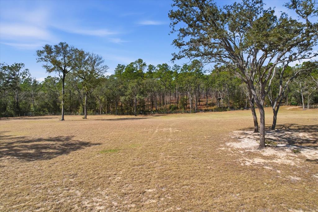 A large, grassy field is bordered by a dense forest of tall trees — 2720 E FAWN COURT, INVERNESS, FL
