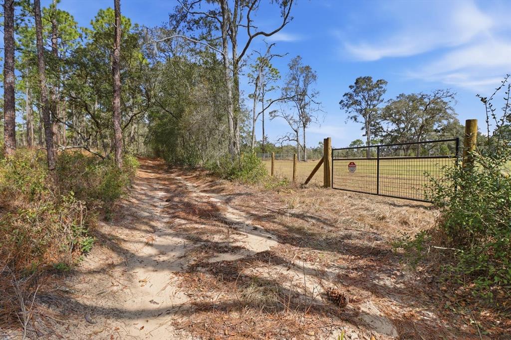 A dirt path leads to a metal gate bordering a fenced, grassy field with trees — 2720 E FAWN COURT, INVERNESS, FL