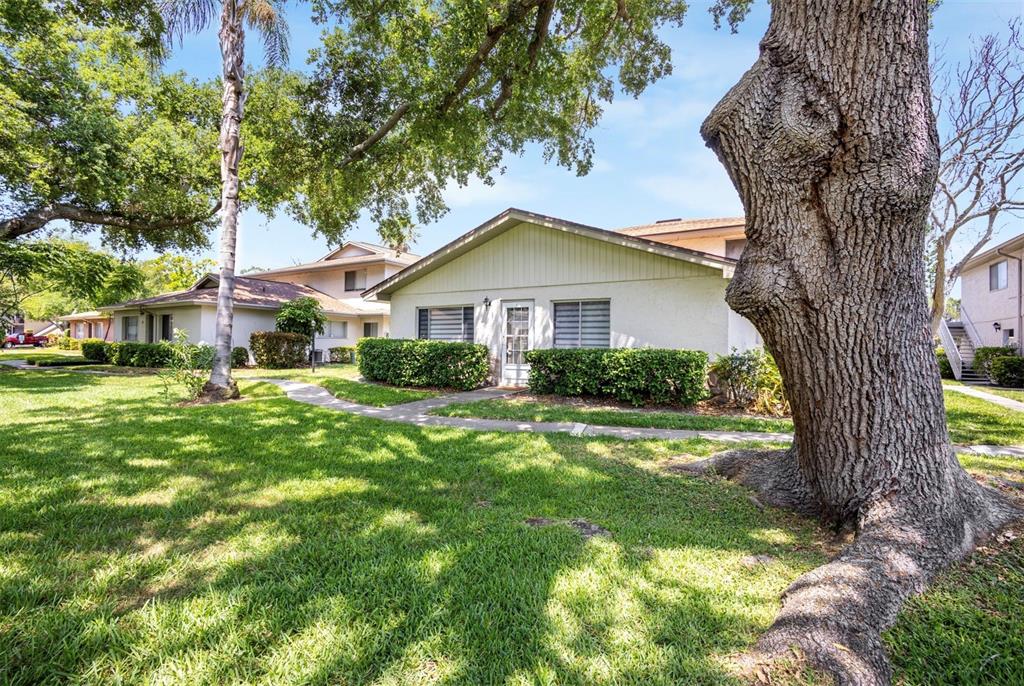 A single-story residential building with a light-colored exterior sits behind a large, textured tree — 1831 BOUGH AVENUE UNIT 1, CLEARWATER, FL