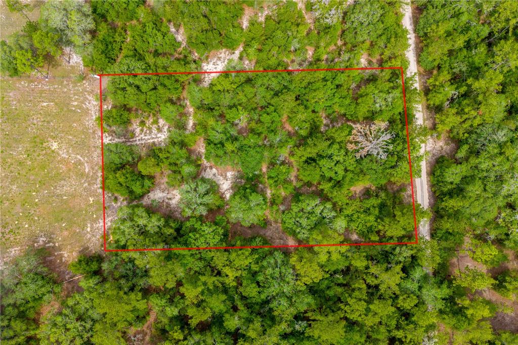 An aerial view shows a rectangular plot of wooded land outlined in red — 7930 NE 121ST STREET, BRONSON, FL