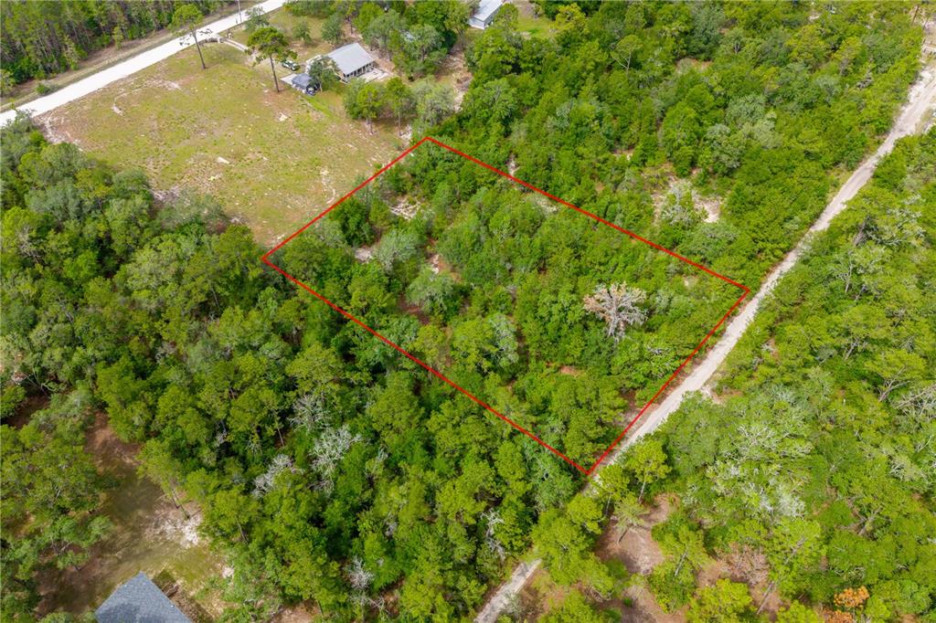 An aerial view shows a rectangular plot of wooded land outlined in red — 7930 NE 121ST STREET, BRONSON, FL