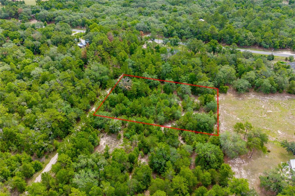 An aerial view shows a rectangular plot of land outlined in red amidst dense forest — 7930 NE 121ST STREET, BRONSON, FL