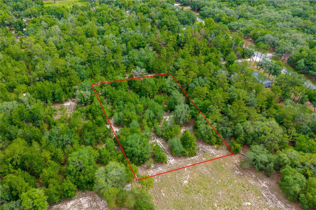 An aerial view shows a rectangular plot of land outlined in red amidst dense forest — 7930 NE 121ST STREET, BRONSON, FL