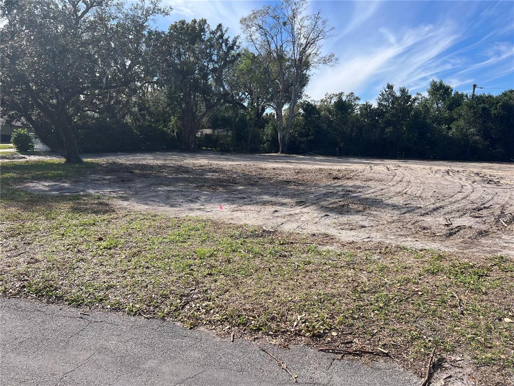 A cleared, sandy residential lot features mature trees along the back and side boundaries — 4249 FOREST HILLS DRIVE, LAKELAND, FL