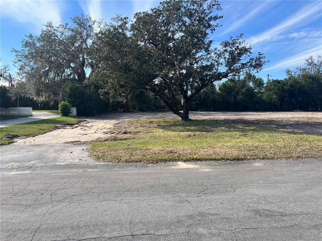 A large, cleared residential lot features a prominent mature tree and a paved driveway entrance — 4249 FOREST HILLS DRIVE, LAKELAND, FL