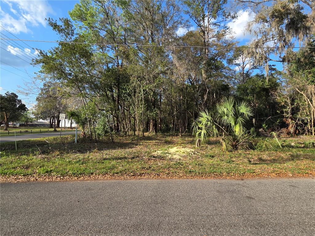 A vacant, wooded lot sits alongside a paved road under a blue sky — 214 NE 13TH AVENUE, GAINESVILLE, FL