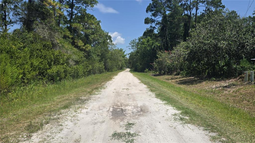 A dirt road stretches through a wooded area under a blue sky — 135 STARLIGHT ROAD, CRESCENT CITY, FL