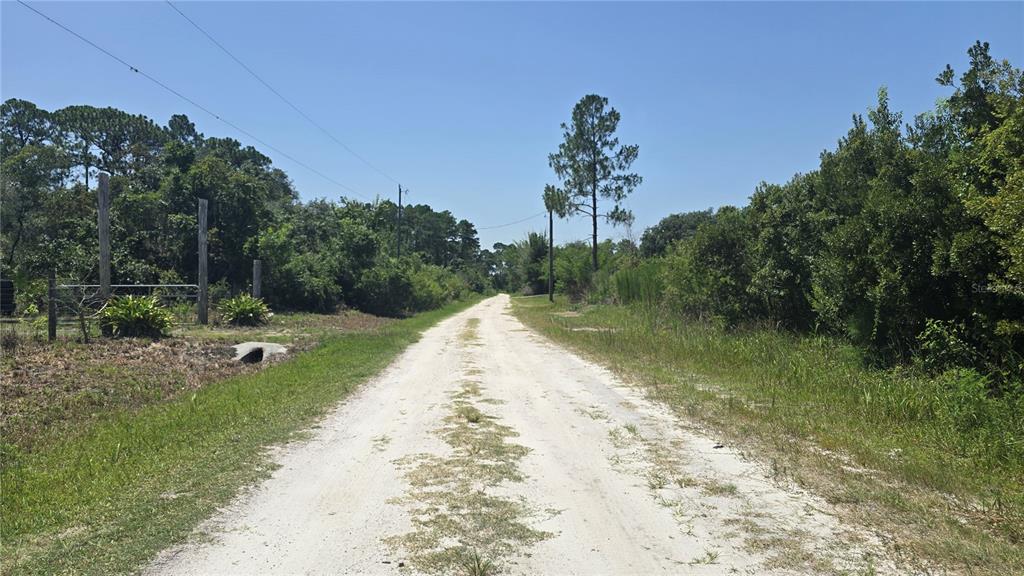 A dirt road stretches through a wooded area under a clear blue sky — 135 STARLIGHT ROAD, CRESCENT CITY, FL