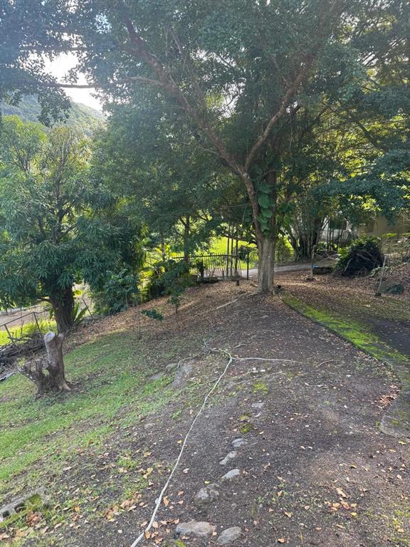 A sloped, grassy backyard features mature trees, a dirt path, and a stone border — 185 KM 6.1 CAMPO RICO ROAD, CANOVANAS, PR