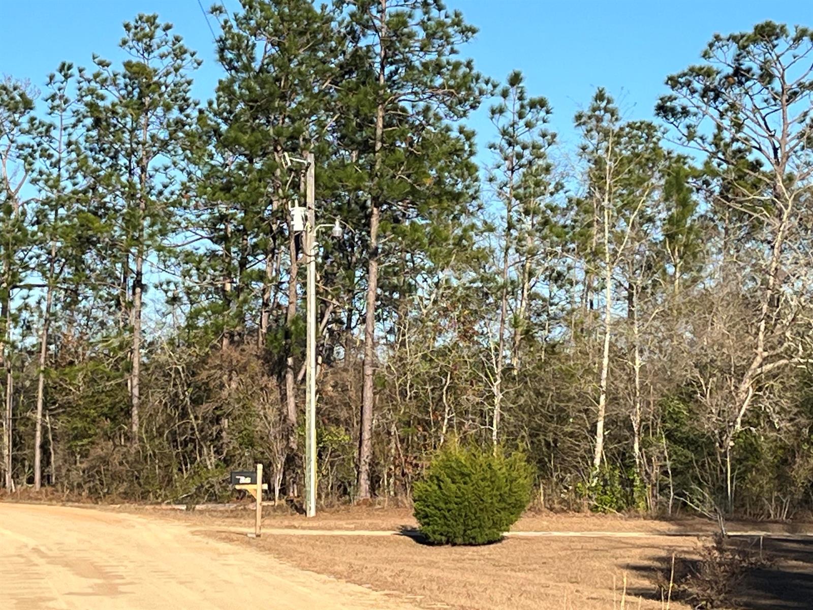 A dirt road leads to a utility pole and a small evergreen bush near woods — Tbd Goreville, FL 32420, FL