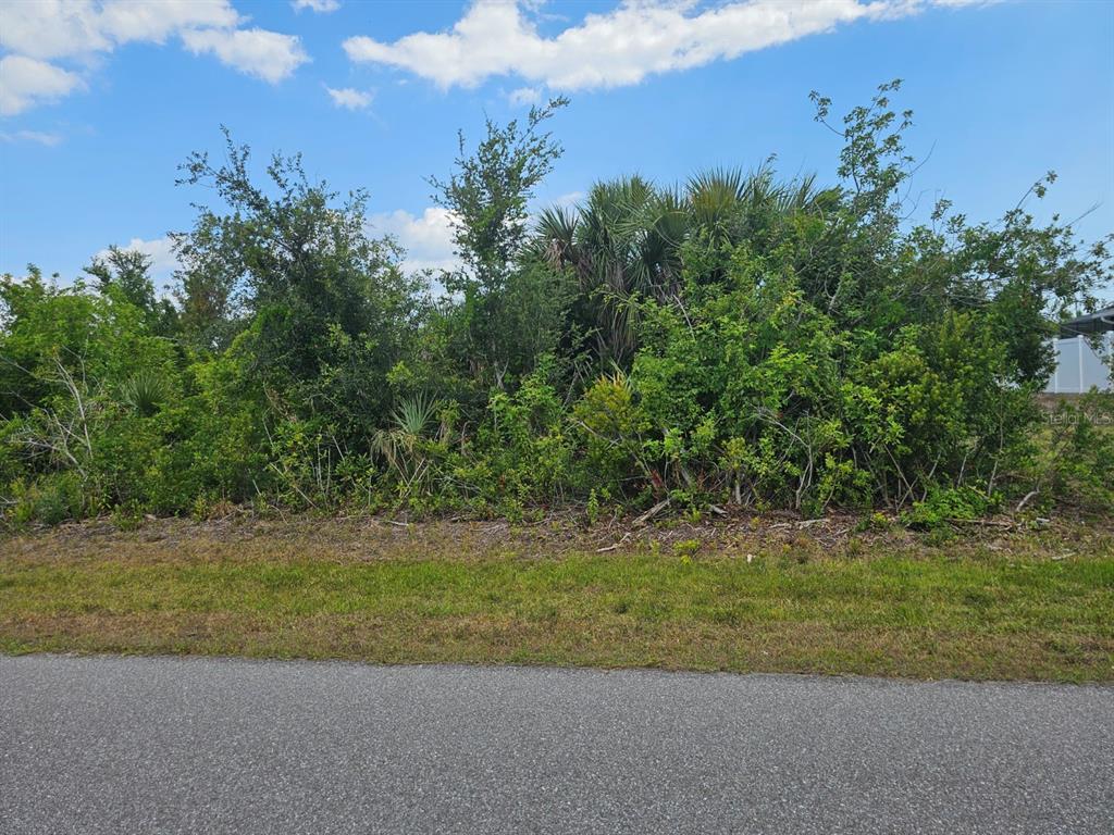 A vacant, overgrown lot with dense vegetation and trees sits adjacent to a paved road — 15595 STUART CIRCLE, PORT CHARLOTTE, FL