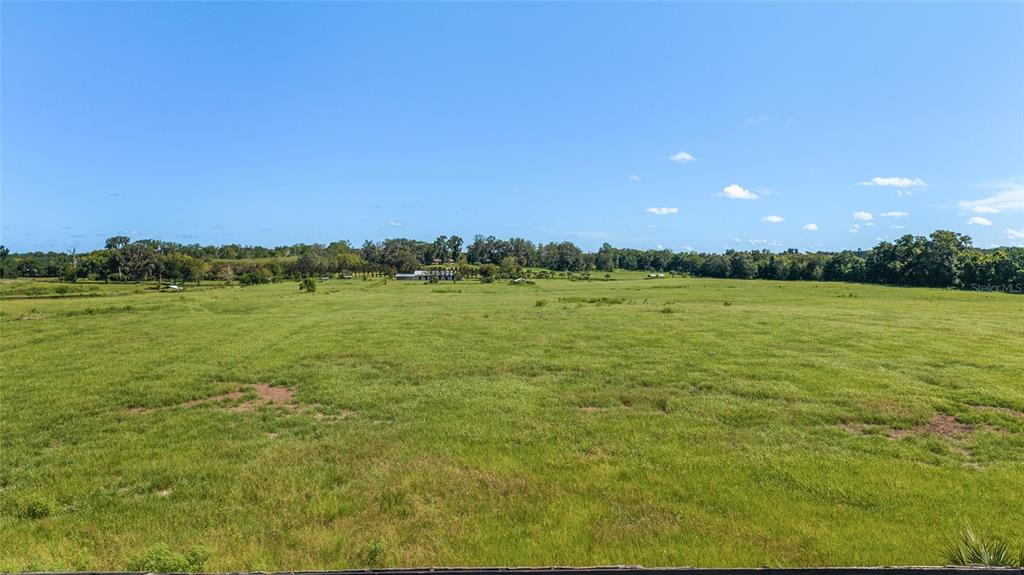 A wide, grassy field stretches toward a distant tree line under a clear blue sky — 5800 SE 145TH STREET, SUMMERFIELD, FL
