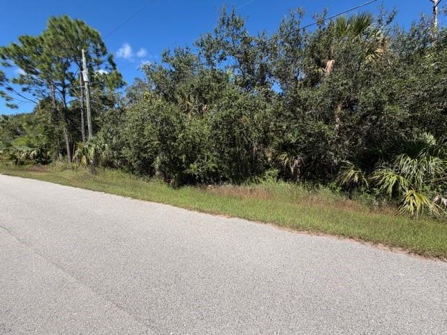 A paved road runs alongside a densely wooded lot with various trees and shrubs — Lot 3 BERNHARD ROAD, NORTH PORT, FL