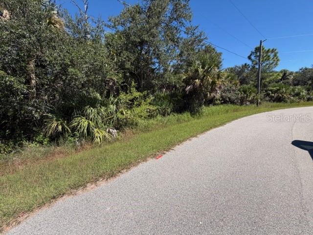 A paved road curves alongside a wooded lot with dense trees and palmetto bushes — Lot 3 BERNHARD ROAD, NORTH PORT, FL