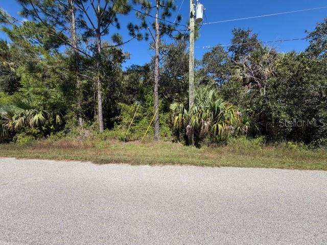 A view of a wooded, undeveloped lot from a paved road with a utility pole — Lot 3 BERNHARD ROAD, NORTH PORT, FL