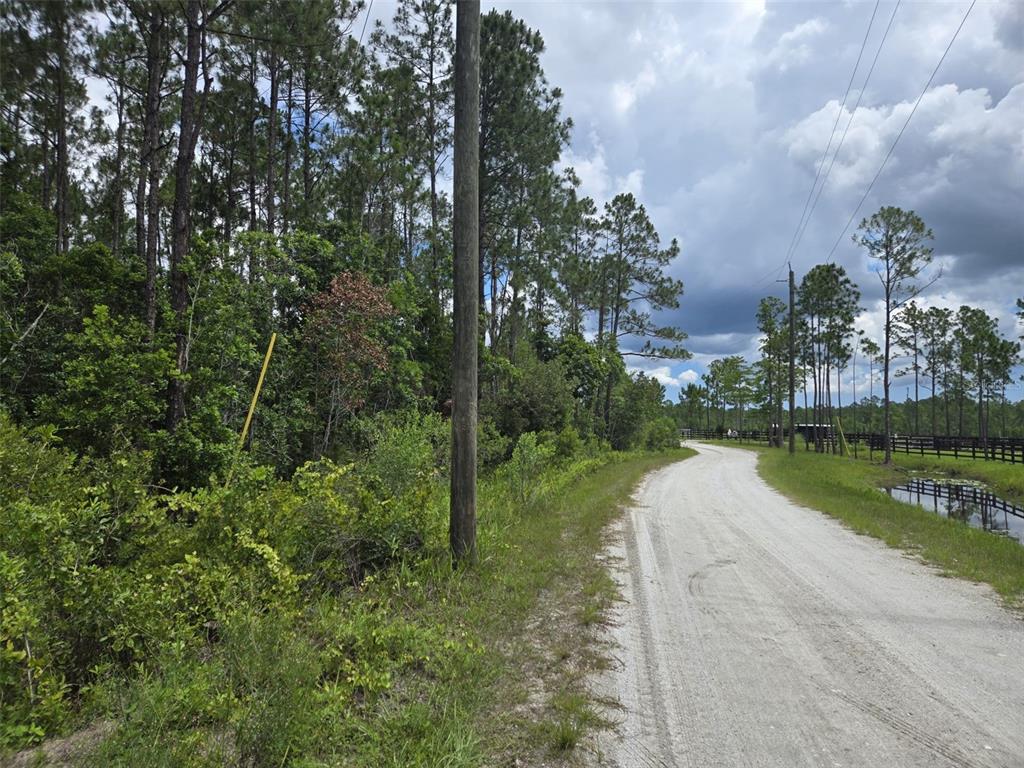 A dirt road winds past a wooded area and a fenced field under a cloudy sky — 1135 OMEGA RANCH ROAD UNIT 4&5, NEW SMYRNA BEACH, FL