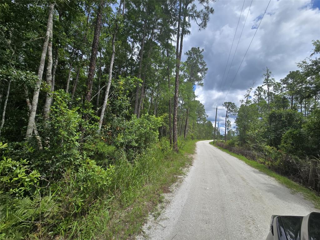 A gravel road winds through a wooded area with tall pine trees and utility poles — 1135 OMEGA RANCH ROAD UNIT 4&5, NEW SMYRNA BEACH, FL