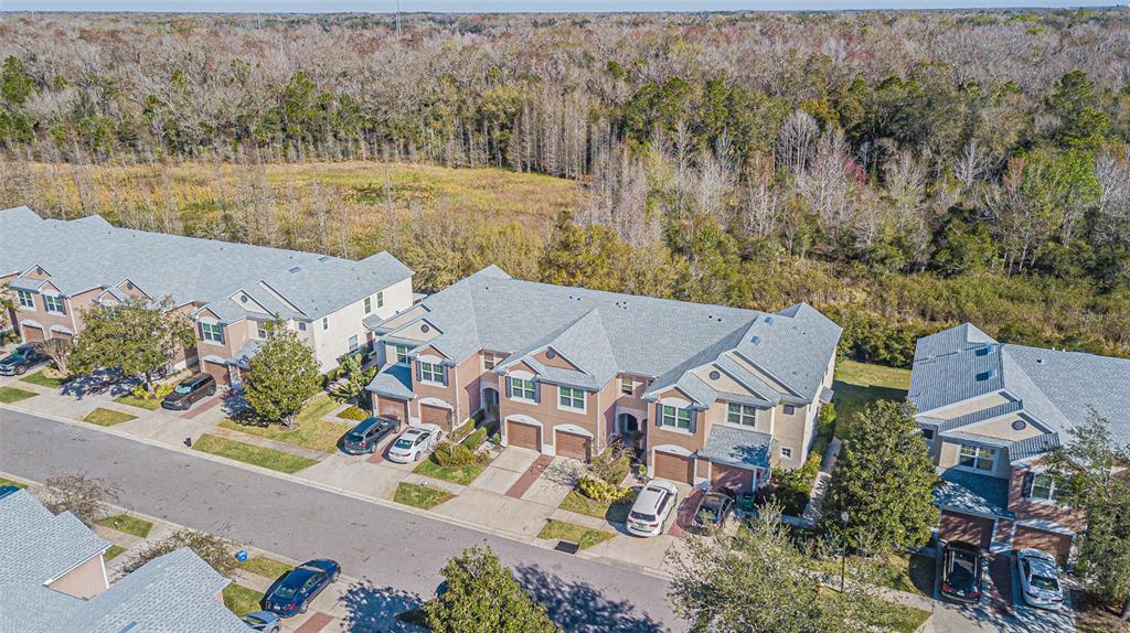An aerial view shows several multi-story townhomes with attached garages and driveways near a forest — 26613 CASTLEVIEW WAY, WESLEY CHAPEL, FL