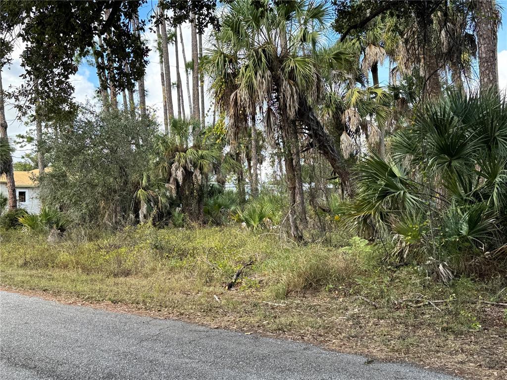 A vacant, wooded lot with palm trees and brush sits adjacent to a paved road — 17344 ORION AVENUE, PORT CHARLOTTE, FL