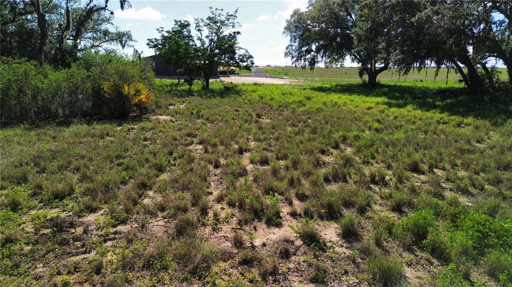 An open, grassy lot with scattered shrubs and trees under a blue sky — US HWY 27, SEBRING, FL