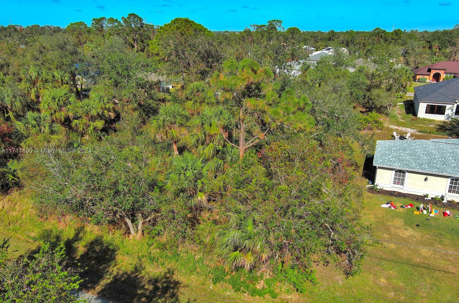 An aerial view shows a wooded lot adjacent to a residential house with a lawn — #2 Sargon Ave, North Port FL 34287, NORTH PORT, FL