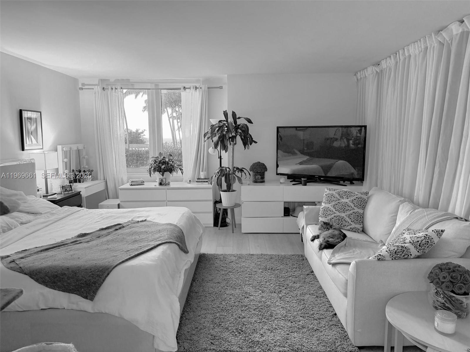 A bedroom features a bed, a sofa with a cat, a television, and large windows — 2301 Collins Ave # 423, Miami FL 33139, MIAMI, FL