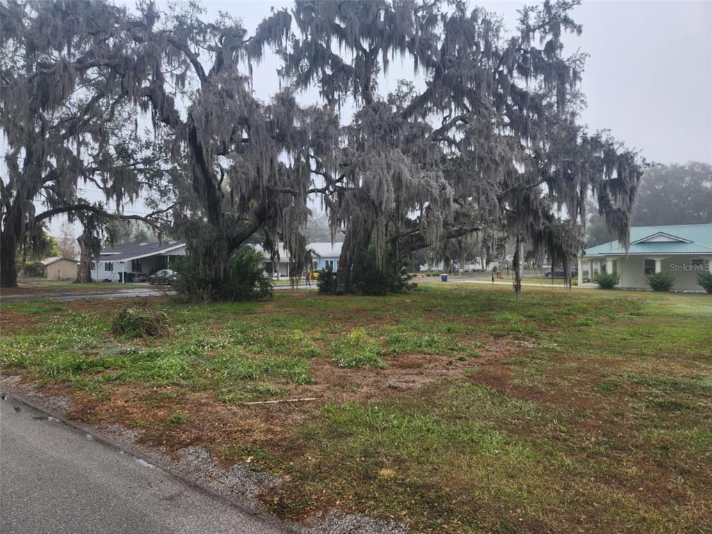 795 W VINE STREET, BARTOW, FL — photo 2 of 4