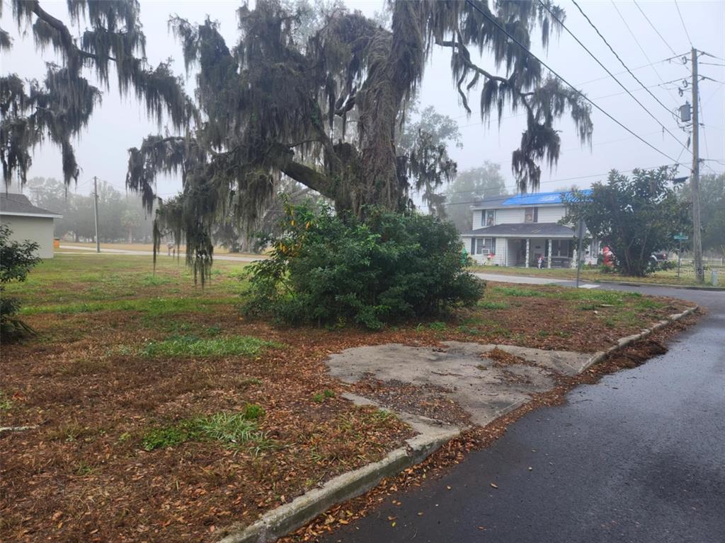 795 W VINE STREET, BARTOW, FL — photo 3 of 4