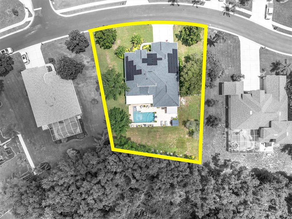 An aerial view shows a house with a pool and solar panels on a corner lot — 1805 MOUNTAIN ASH WAY, TRINITY, FL