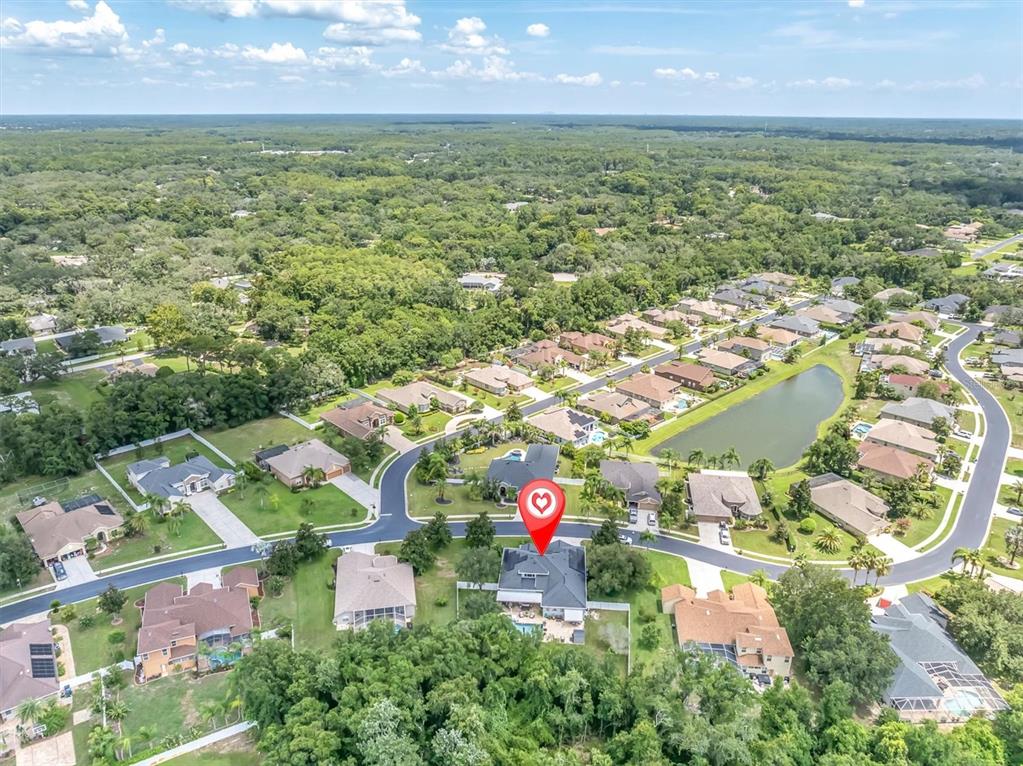 An aerial view shows a residential neighborhood with a house marked by a red pin — 1805 MOUNTAIN ASH WAY, TRINITY, FL