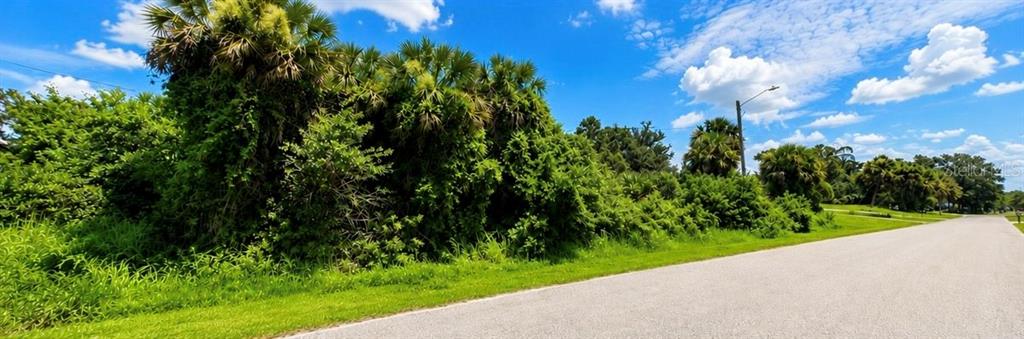 A paved road runs alongside a dense, overgrown lot filled with palm trees and vegetation — Lot 17 & 18 TUPELO AVENUE, NORTH PORT, FL