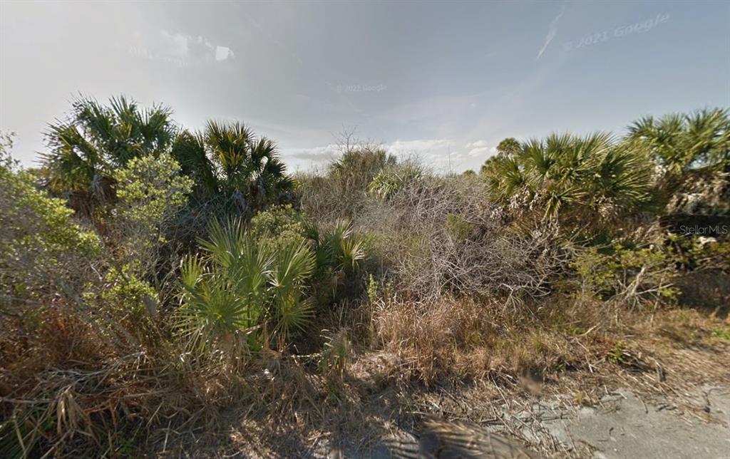 A view of an overgrown, undeveloped lot filled with palm trees and dense brush — 2466 LANDRUM AVENUE SW, PALM BAY, FL