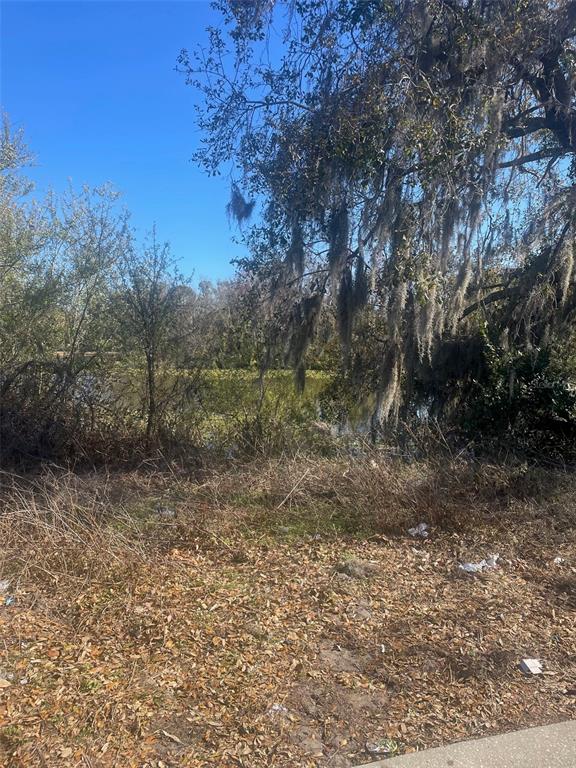 A view of a wooded area with a pond behind a patch of dry grass — 3301 N LAKE DRIVE, PLANT CITY, FL