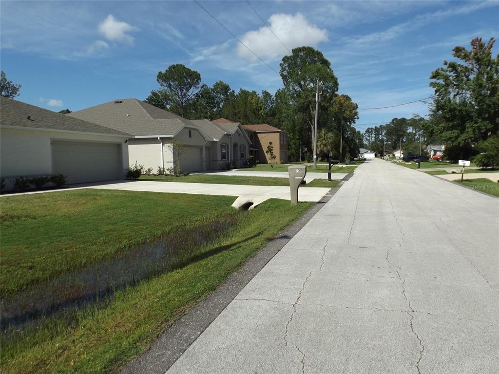 A residential street view showing houses with driveways, lawns, and a mailbox — 176 FRONTIER DRIVE, PALM COAST, FL