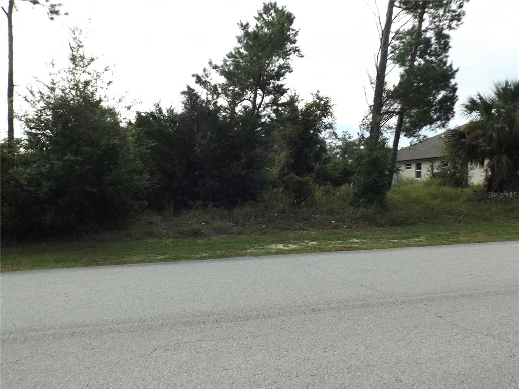 A vacant, wooded residential lot sits next to a house along a paved road — 176 FRONTIER DRIVE, PALM COAST, FL