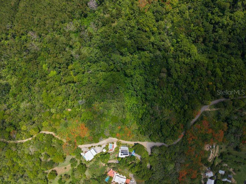 An aerial view shows houses nestled in a dense, lush green forest with winding roads — SR-413 SR 413, KM 1.7 INT. ENSENADA WARD, RINCON, PR