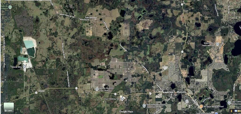 TUSCANOOGA ROAD, MASCOTTE, FL — photo 2 of 2